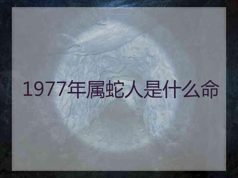 1977年属蛇人是什么命