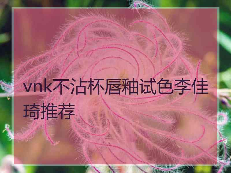 vnk不沾杯唇釉试色李佳琦推荐