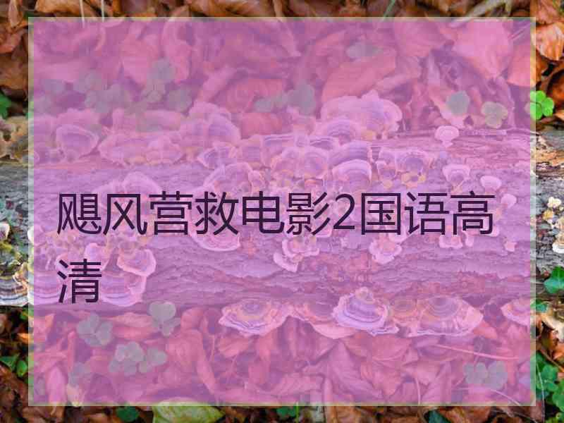 飓风营救电影2国语高清