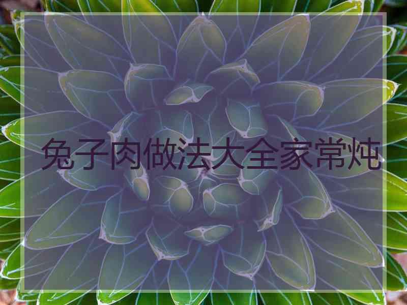 兔子肉做法大全家常炖