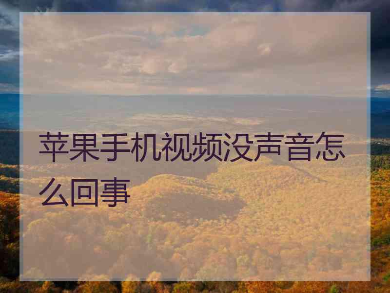 苹果手机视频没声音怎么回事
