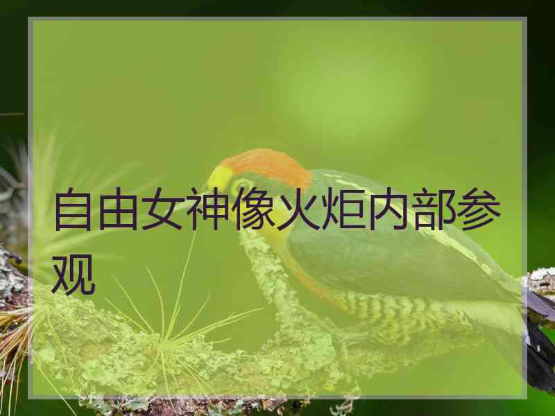 自由女神像火炬内部参观