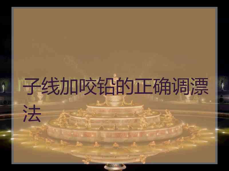 子线加咬铅的正确调漂法