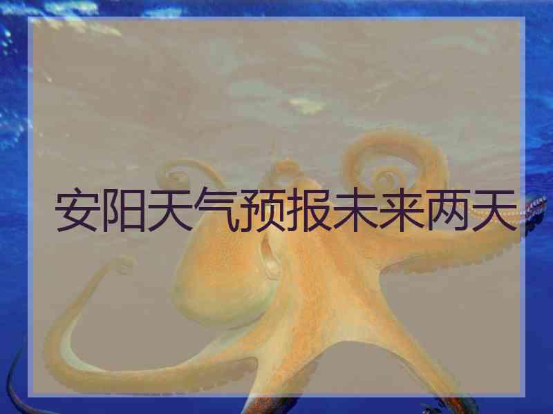 安阳天气预报未来两天