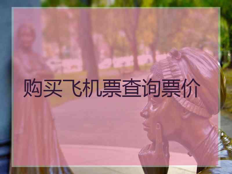 购买飞机票查询票价
