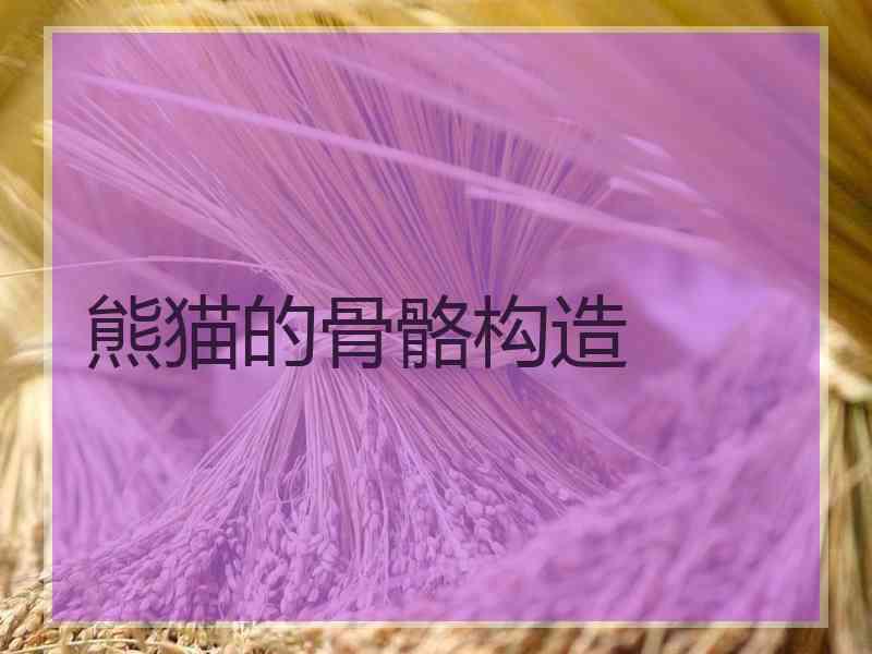 熊猫的骨骼构造