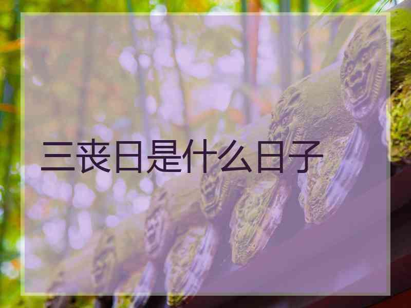 三丧日是什么日子