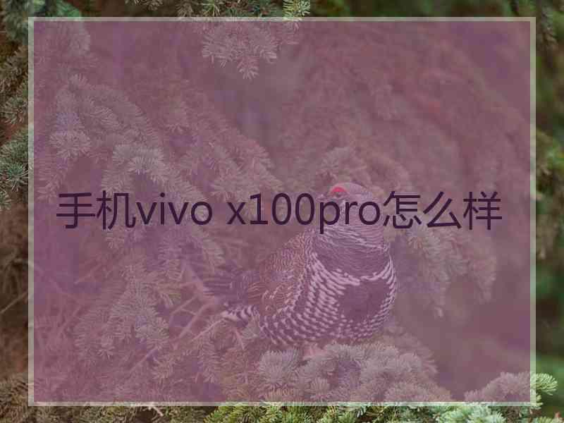 手机vivo x100pro怎么样