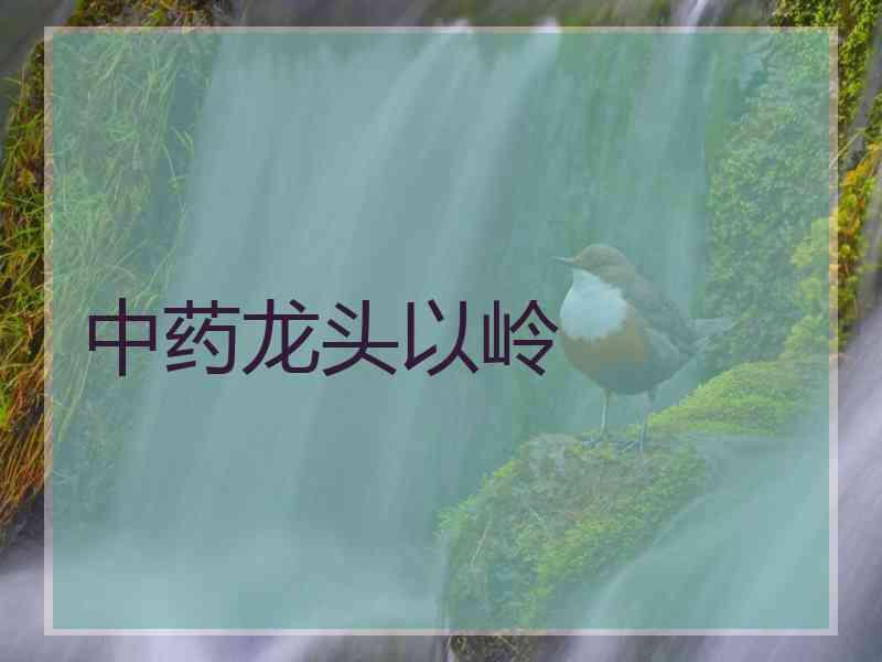 中药龙头以岭