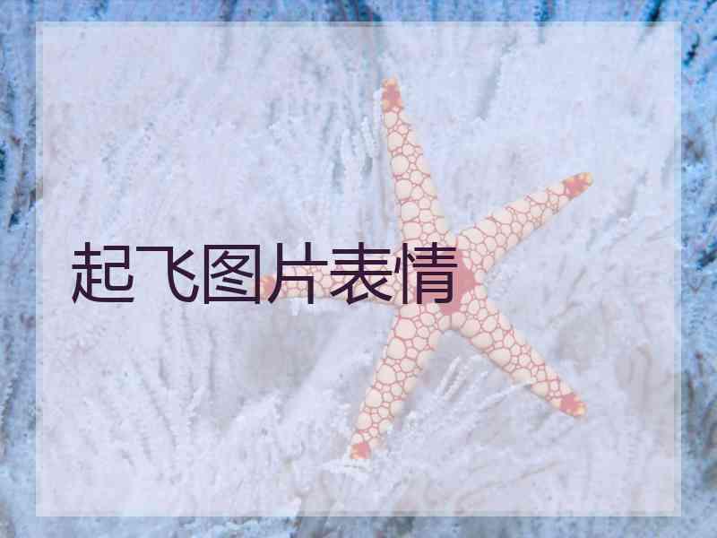 起飞图片表情