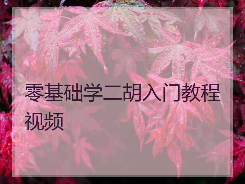 零基础学二胡入门教程视频