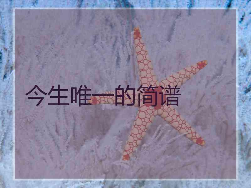 今生唯一的简谱