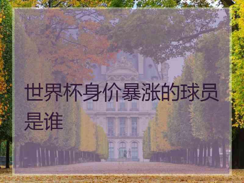 世界杯身价暴涨的球员是谁