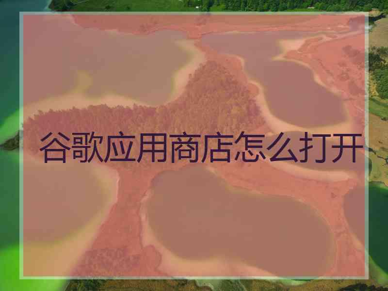 谷歌应用商店怎么打开