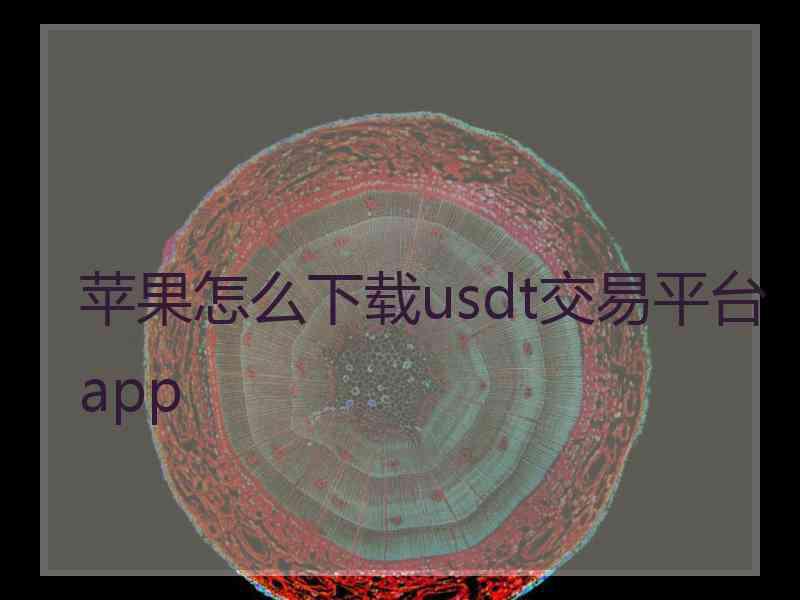 苹果怎么下载usdt交易平台app