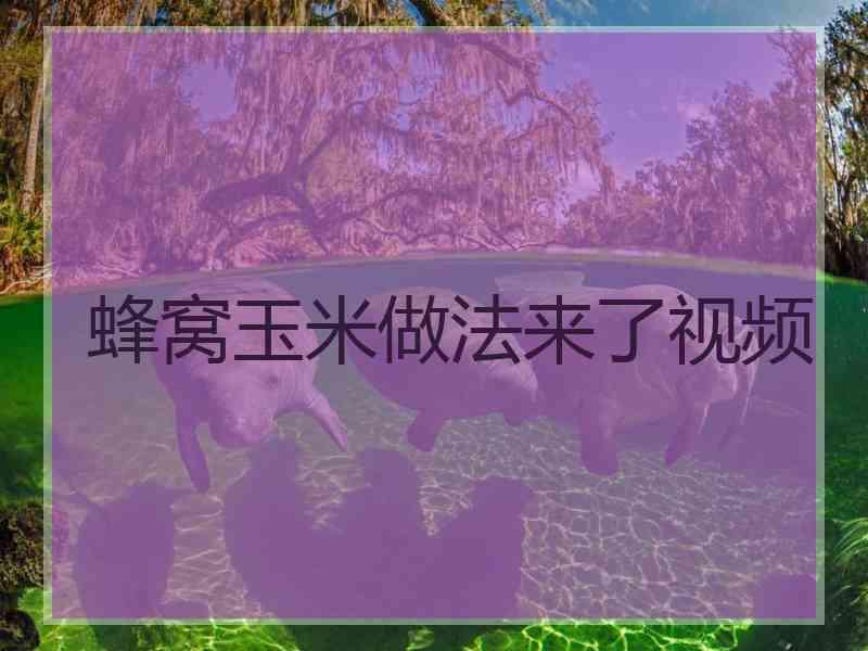 蜂窝玉米做法来了视频