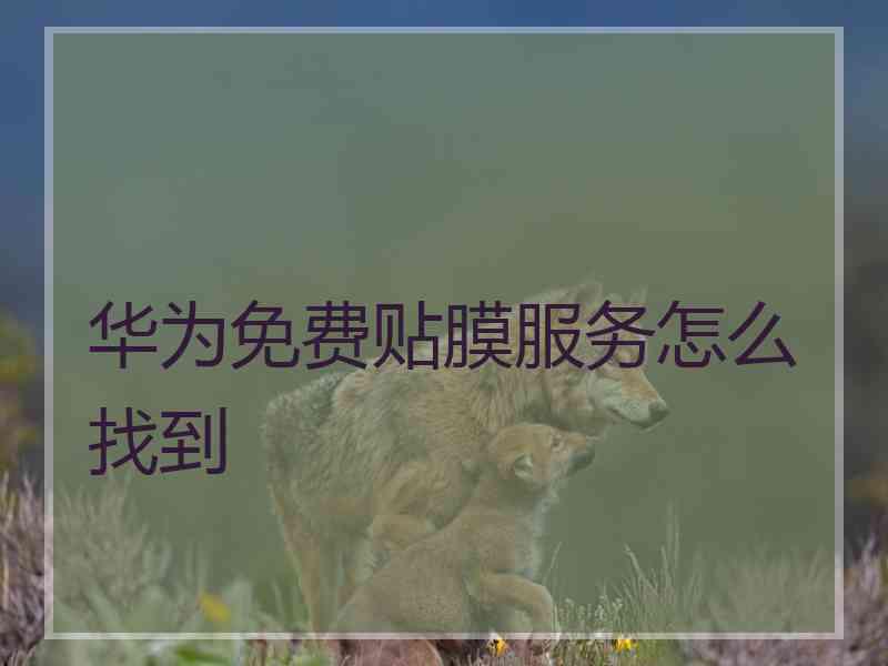 华为免费贴膜服务怎么找到