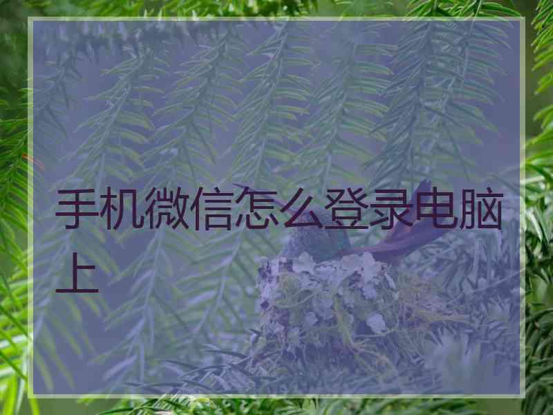 手机微信怎么登录电脑上