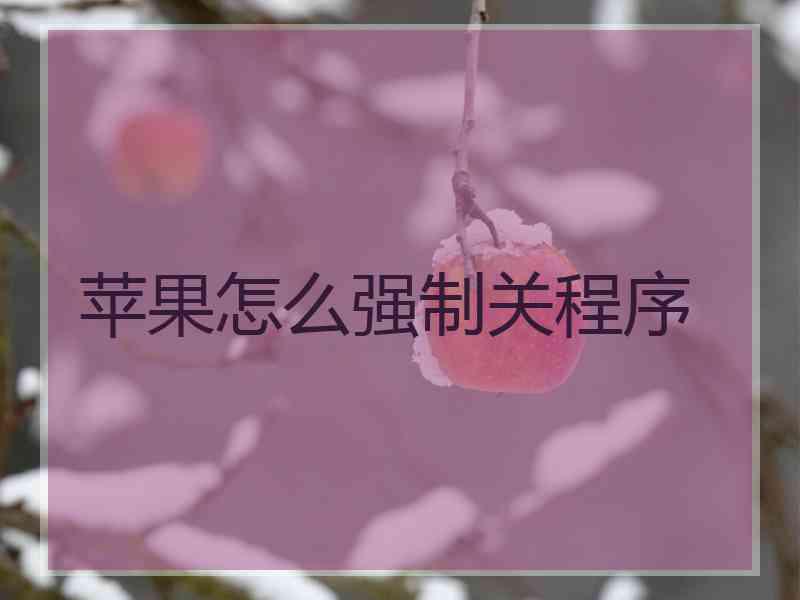 苹果怎么强制关程序