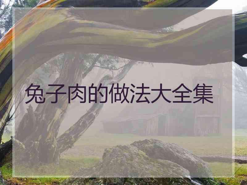 兔子肉的做法大全集