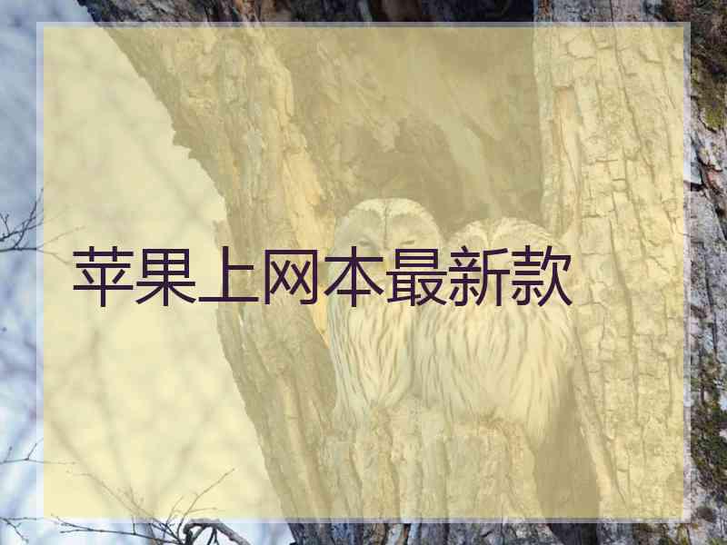 苹果上网本最新款