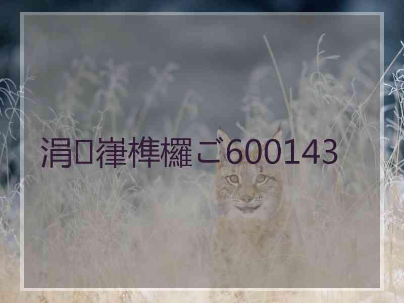 涓嵂榫欏ご600143