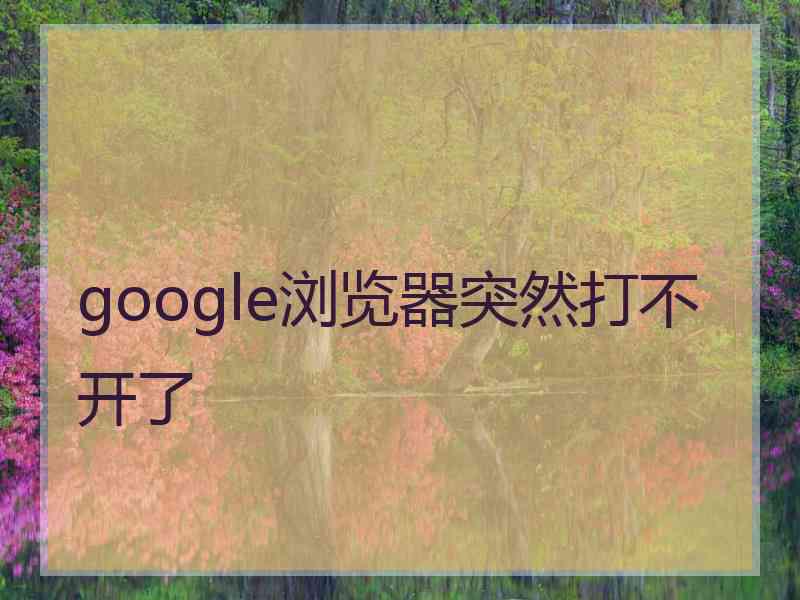 google浏览器突然打不开了