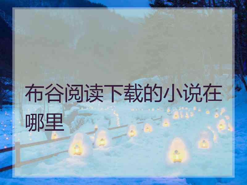 布谷阅读下载的小说在哪里