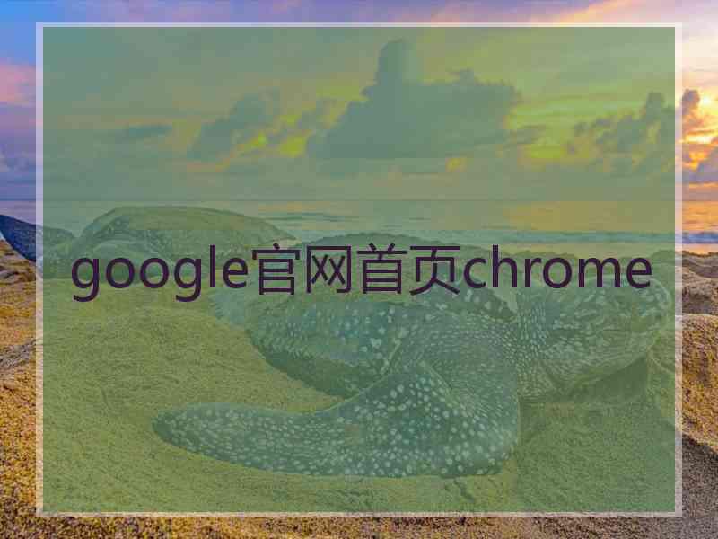 google官网首页chrome