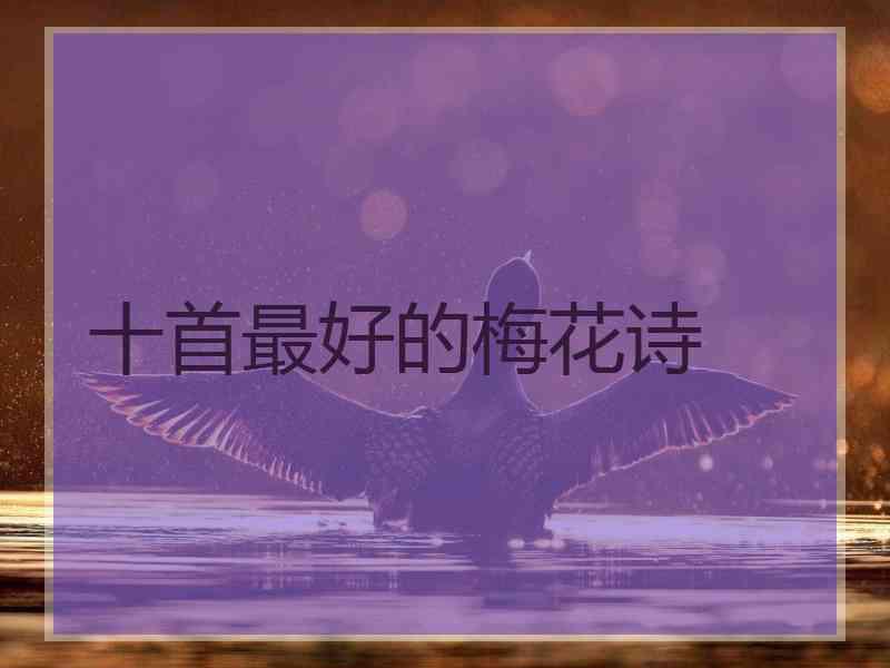 十首最好的梅花诗