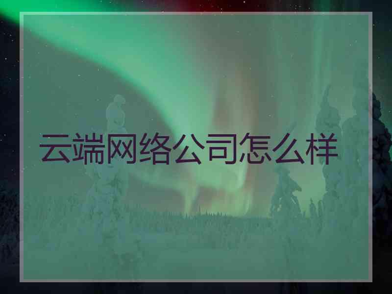 云端网络公司怎么样