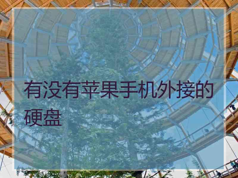 有没有苹果手机外接的硬盘