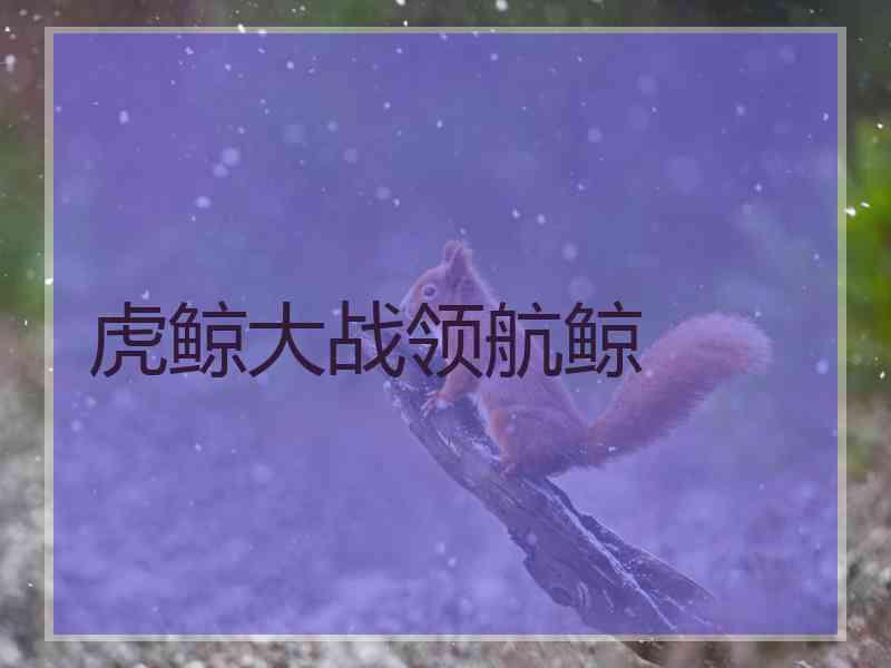 虎鲸大战领航鲸