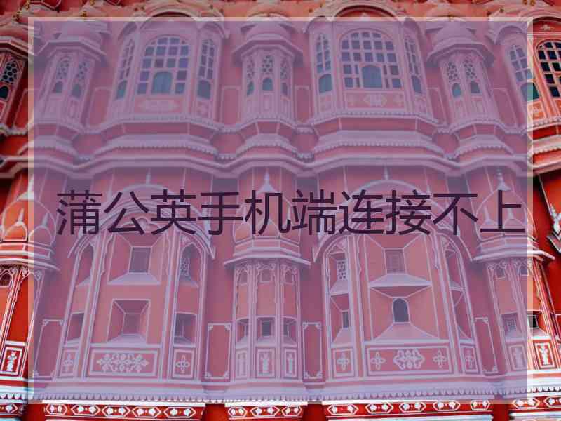 蒲公英手机端连接不上