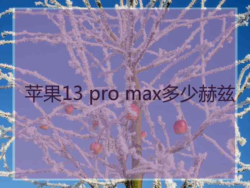 苹果13 pro max多少赫兹