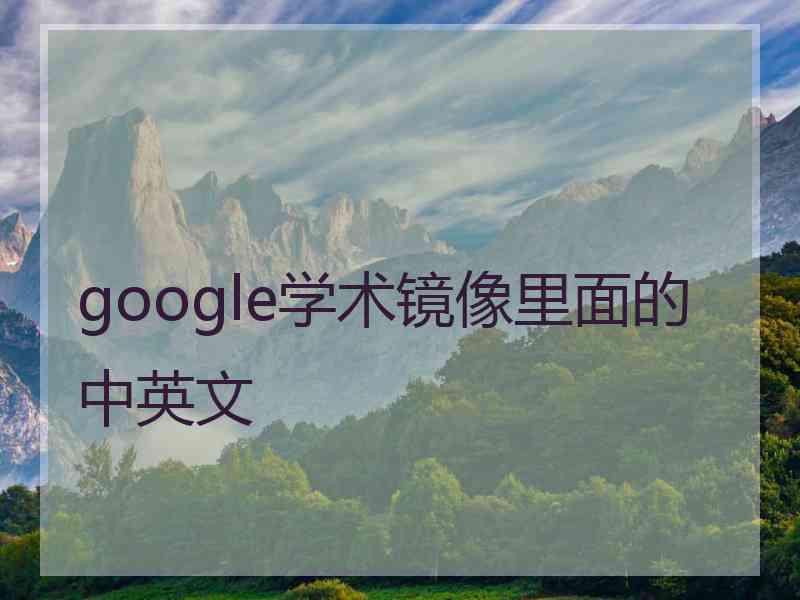 google学术镜像里面的中英文