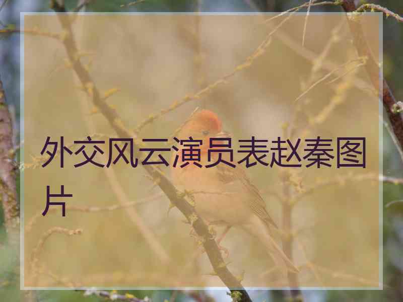 外交风云演员表赵秦图片