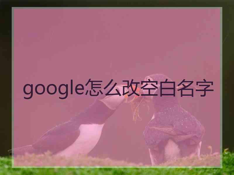google怎么改空白名字