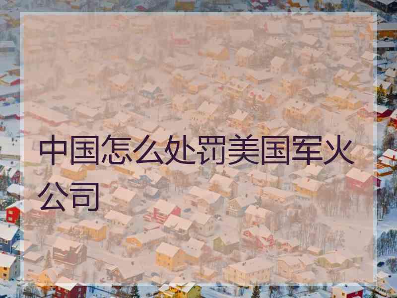 中国怎么处罚美国军火公司
