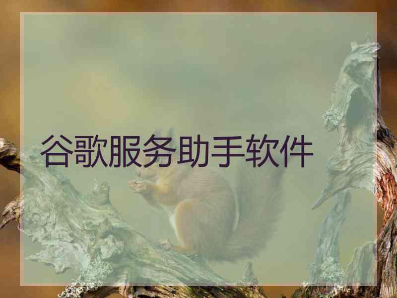 谷歌服务助手软件