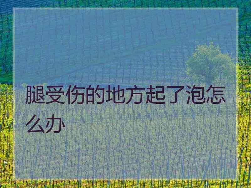 腿受伤的地方起了泡怎么办