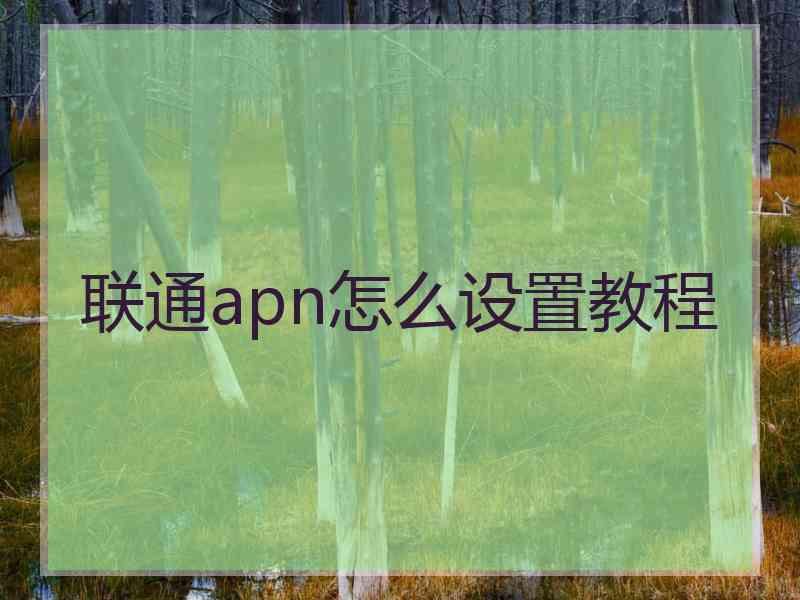联通apn怎么设置教程