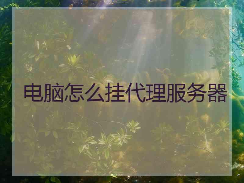 电脑怎么挂代理服务器