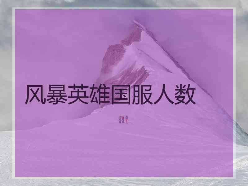 风暴英雄国服人数