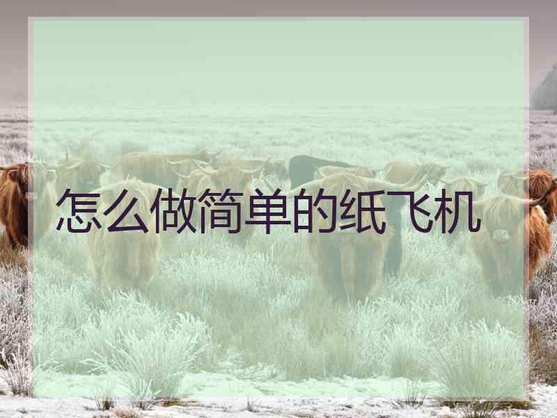 怎么做简单的纸飞机