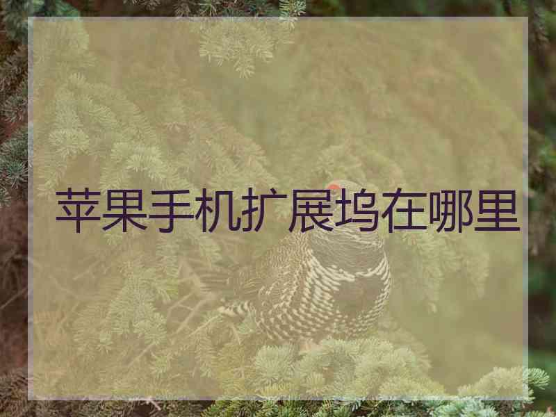 苹果手机扩展坞在哪里