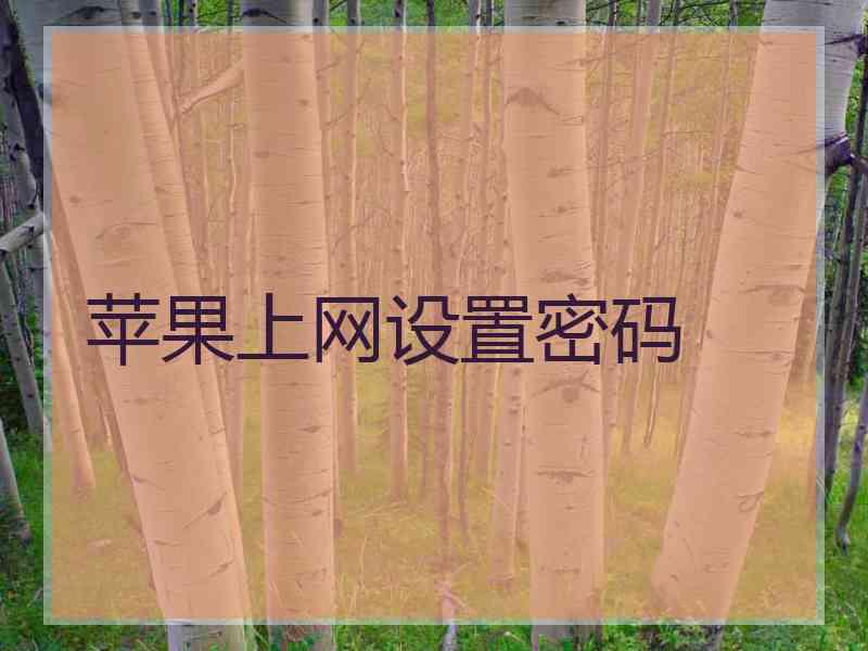 苹果上网设置密码