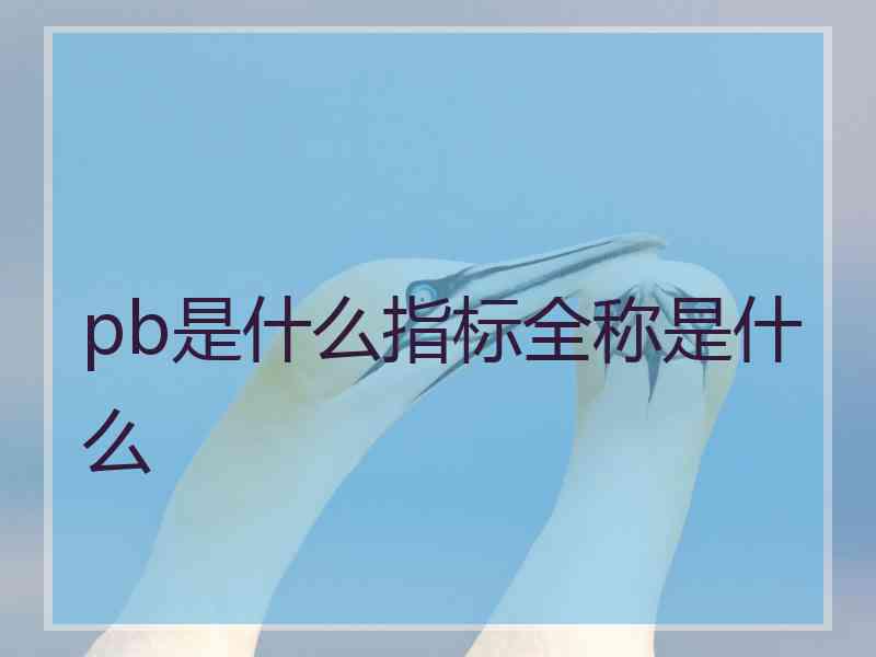 pb是什么指标全称是什么