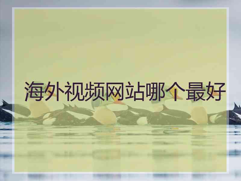 海外视频网站哪个最好