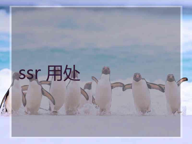 ssr 用处
